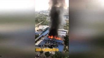 大雨落下眼泪成海,大雨中的情感共鸣