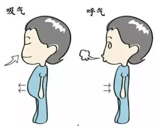 呼吸正常,揭秘人体正常呼吸的奥秘 第3张 呼吸正常,揭秘人体正常呼吸的奥秘 第3张