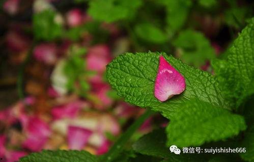 爱已缘尽,一段情感的终结与启示