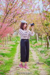 闻香识南枝 第2张 闻香识南枝 第2张