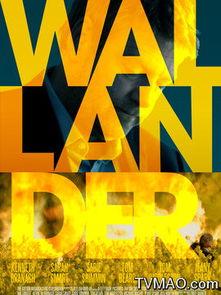 青年维兰德 第二季,青春激荡，梦想起航