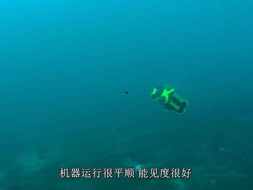 埃达克岛岛海盗宝藏,失落的海底传奇揭秘 第3张 埃达克岛岛海盗宝藏,失落的海底传奇揭秘 第3张