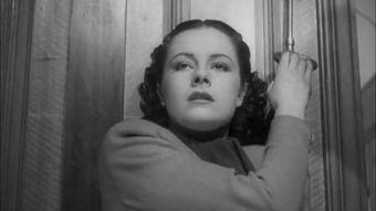 失踪的女人,揭开神秘失踪案的层层迷雾