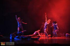 五朵红云(舞剧),舞动革命岁月的青春华章 第3张 五朵红云(舞剧),舞动革命岁月的青春华章 第3张