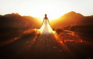 夕阳天使  第3张