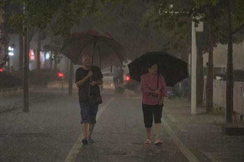 暴雨将至  第3张